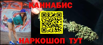 мдпв Бердск