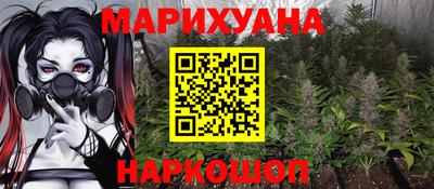 мдпв Бердск