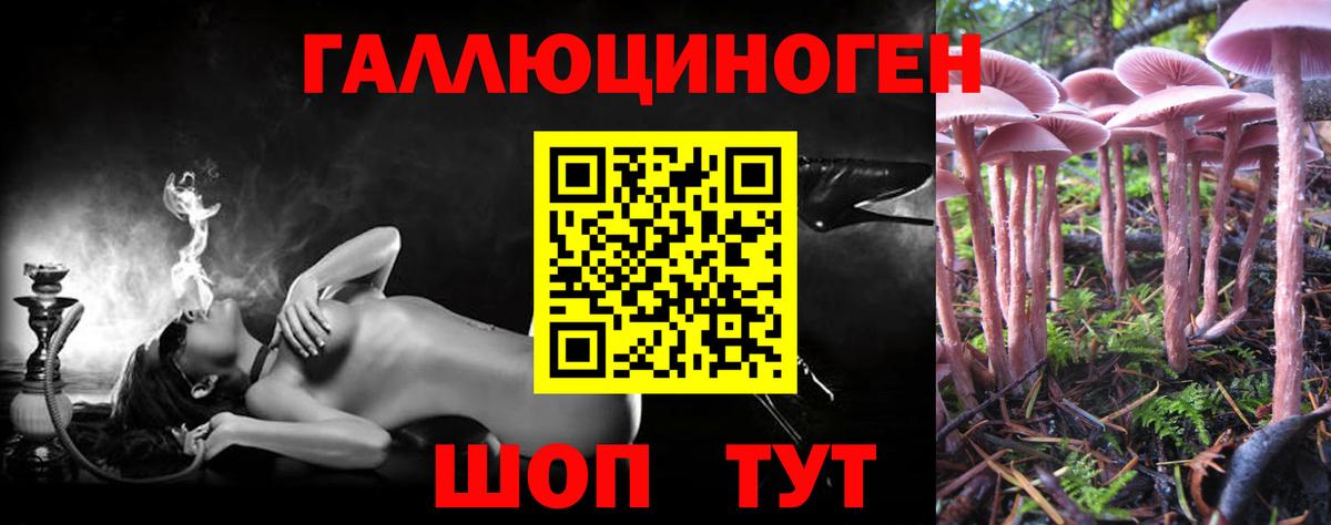 Псилоцибиновые грибы мицелий  Вход с VPN  купить  цена  Галлюциногенные грибы мицелий  Кимовск 